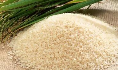 Short Grain White Indian Origin 100% Pure Samba Rice Broken (%): 1%