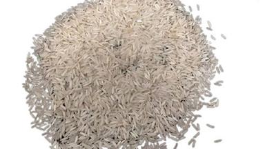 Dried Style Long Grain Non Broken Common Cultivated Basmati Rice Admixture (%): 5%