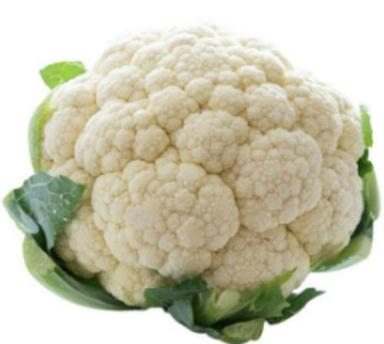 Fresh And Natural Organic Cultivated Indian Origin Whole Cauliflower Moisture (%): 87%