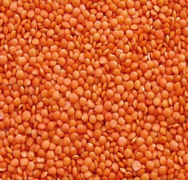 99% Pure Organic Dried Whole Round Shape Masoor Dal Admixture (%): 5%