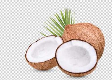 Organic Fresh Coconut 
