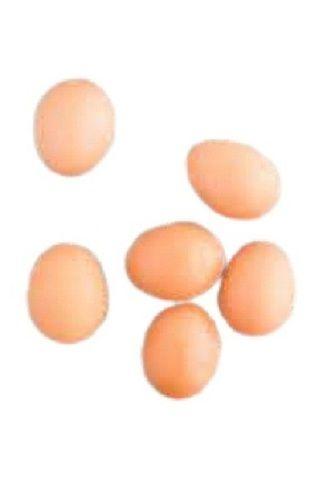 Oval Nutritious Fresh Richer Flavor A-Grade Healthy Brown Egg For Cooking  Egg Origin: Chicken