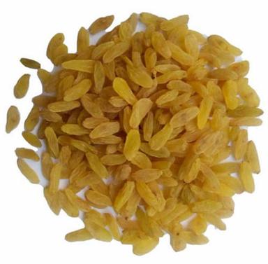 Yellow 16% Moisture Content Non Glutinous Sweet Sunlight Dried Raisin