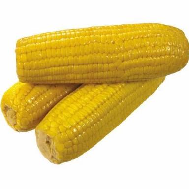 Non Glutinous Organic Heirloom Yellow Corn, High In Protein