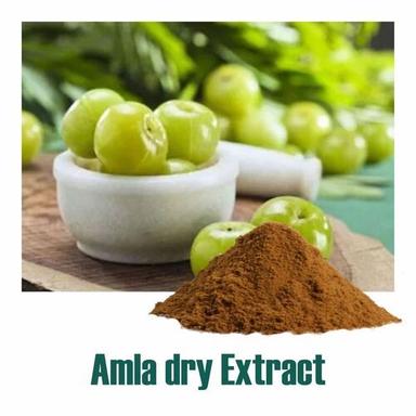Herbal Product 100% Natural Amla Dry Extract (Emblica Officinalis) Powder