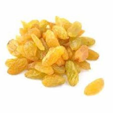 A Grade 100 Percent Purity Nutrient Enriched Healthy Sweet Dried Golden Raisins