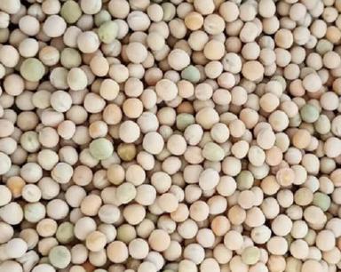 99% Pure Organic Dried Raw Round Shape White Pea Beans For Cooking Use Broken Ratio (%): 0.4%