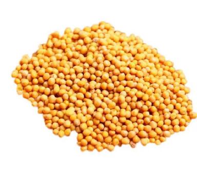 98% Pure Organic Dried Hybrid Yellow Mustard Seeds Admixture (%): 1%