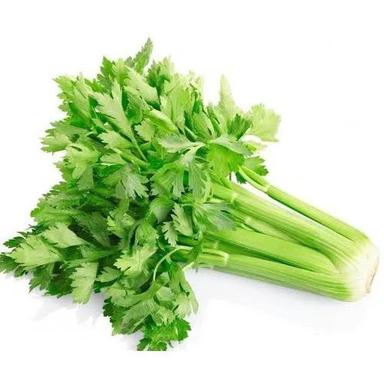 Fresh Moisture Proof No Preservatives Raw Celery For Cooking  Moisture (%): 86%