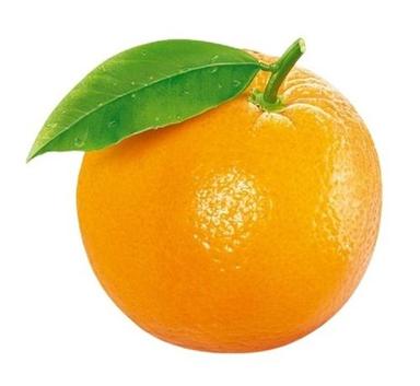 Common Orange Fruit