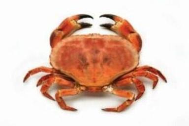 2% Moisture Pure And Natural Frozen Crab With 6 Months Shelf Life Packaging: Vacuum Pack