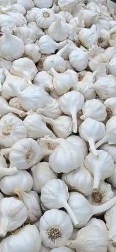 Round 70% Moisture Natural Fresh And Rich Taste Healthy Garlic With 5 Months Sheif Life