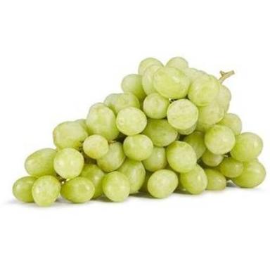 Green Delicious And Sweet Taste Ovel Shaped Natural Open Air Grapes