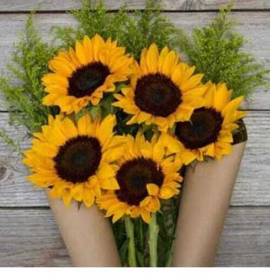 Nylon Rich Fragrance Sunflower Flower For Decorative And Garlands