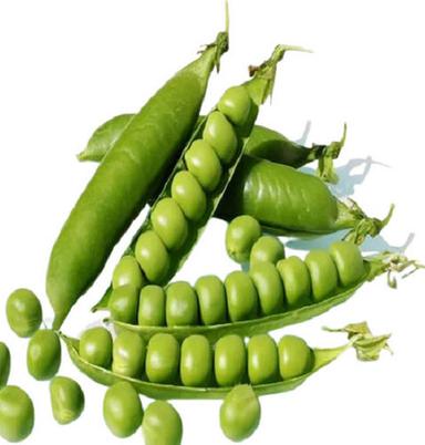 Rich In Vitamins Small Spherical Fresh Green Peas Moisture (%): 75%