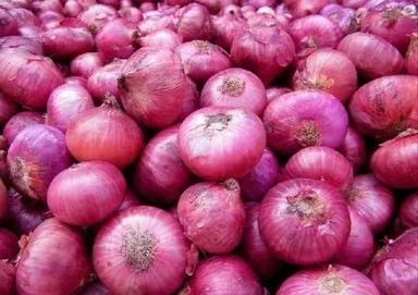 Pure And Natural Raw Whole Fresh Onion With 1 Week Shelf Life Moisture (%): 86%