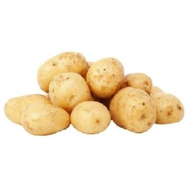 Rich In Carbohydrate Pure And Natural Raw Whole Fresh Potatoes Moisture (%): 63%