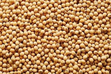 Yellow Commonly Cultivated Round Raw Whole Dried Soya Beans