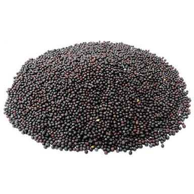 Indian Origin 99% Pure Commonly Cultivated Mustard Seed Admixture (%): 5%