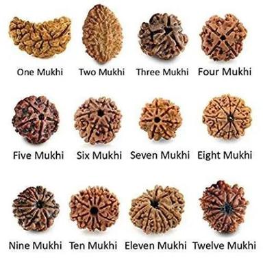 Natural Wood Beads Brown Rudraksha For Religious Use