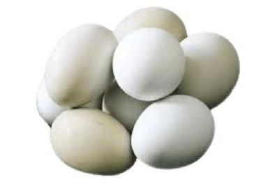 Rich In Protein Oval White Fresh Egg Egg Origin: Chicken