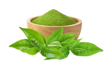 Anti-Oxidants No Sugar Loose Solid Extract Instant Green Tea Powder Antioxidants
