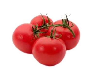 Fresh Round Naturally Grown Slightly Sweet And Sour Raw Tomato For Cooking  Shelf Life: 3 Days