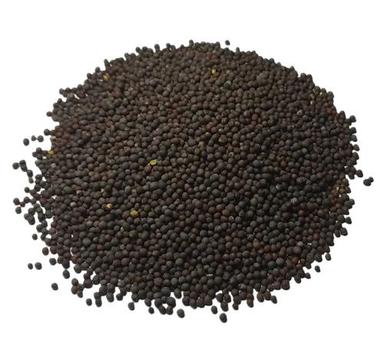Natural And Pure Commonly Cultivated Oil Black Mustard Seed For Cooking Admixture (%): 0.6 %