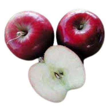 Red Tasty Sweet Rich In Protein Pure Round Healthy Farm Fresh Juicy Apple