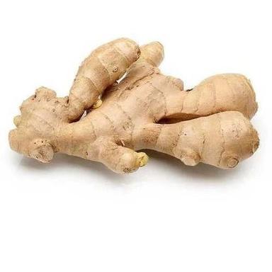 Pure And Natural Healthy Antioxidant Raw Fresh Ginger Moisture (%): 83%