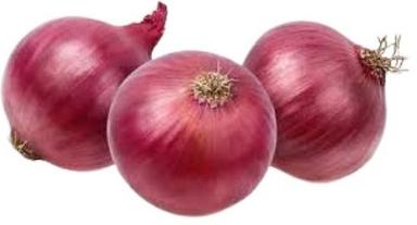 Farm Fresh Naturally Grown Raw Onion Moisture (%): 86%