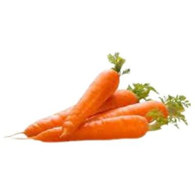 Healthy Vitamins Rich Raw Processed Long Naturally Grown Fresh Carrot Moisture (%): 87.57%