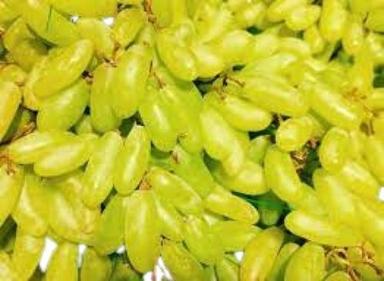Green India Origin Nature Sweet Tasty Oval Healthy Fresh Thompson Seedless Grapes