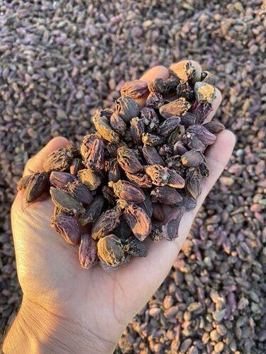 Whole Dried Strong Aroma Organic Black Cardamom (Ilaichi)