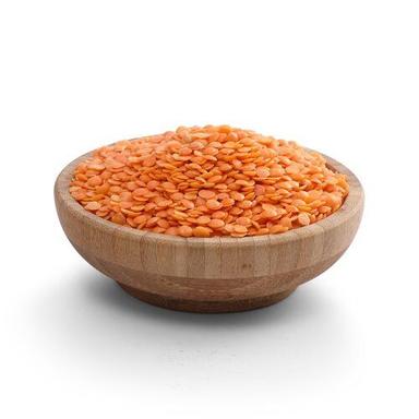 Healthy To Eat Organic Masoor Dal For Cooking Use