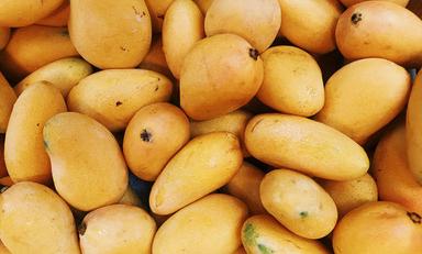 A Grade Yellow Natural Alphonso Mangoes