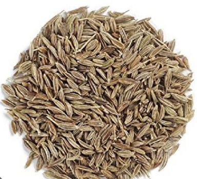 Green 100% Natural Dried Raw Rich Flavor Taste Cumin Seeds