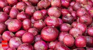 Pesticide Free Organic Fresh Onion For Cooking Use Specific Drug