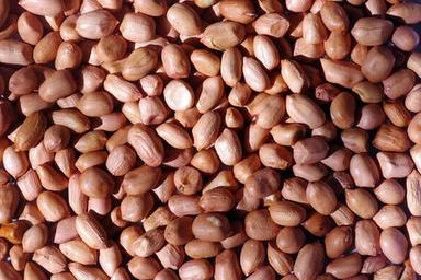 99% Pure Commonly Cultivated Groundnut Seeds With Six Shelf Life  Admixture (%): 2%