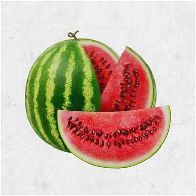 Common Fresh Green Watermelon Fruit For Making Juice