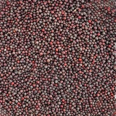 99% Pure Hybrid Mustard Seed With 12 Months Shelf Life  Admixture (%): 1%