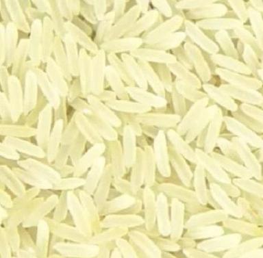 No Preservatives Common Dried Medium Grain 1121 Basmati Rice Admixture (%): 0%