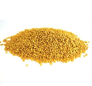 5.22% Moisture Organic Cultivated Dried Yellow Mustard Seeds Admixture (%): 0%