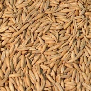 Edible Hybrid Commonly Cultivated Sunlight Dried Vegetable Oat Seeds Admixture (%): 1.2%