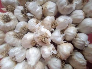 Sweet Nutty Flavor Antioxidant A-Grade Raw Farm Fresh Healthy Garlic Moisture (%): 14%