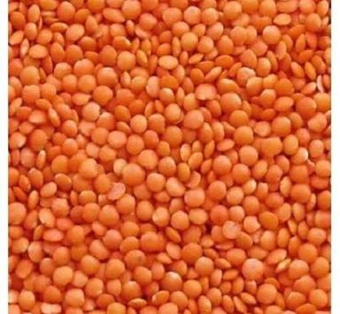 99% Pure Organic Dried Raw Round Red Lentils Admixture (%): 0.9%