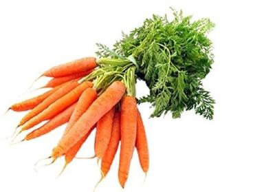89% Moisture Conical Shape Red Fresh Carrot Moisture (%): 89 %