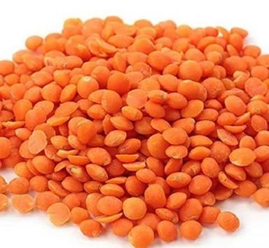 Natural And Healthy 9.5% Moisture Round Organic Dried Masoor Dal Admixture (%): 2%