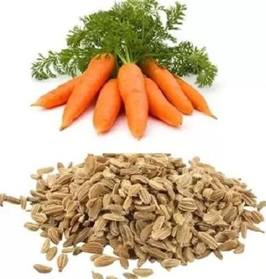 8.0% Moisture Organic Dried Hybrid Carrot Seeds Admixture (%): 1%