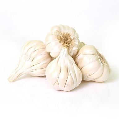 Fresh Natural White Garlic Used In Fast Food And Snacks